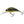 Salmo Hornet Floating 4-Salmo Hornet-Wind Rose North Ltd. Outfitters