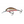 Salmo Hornet Floating 4-Salmo Hornet-Wind Rose North Ltd. Outfitters