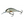 Salmo Hornet Floating 4-Salmo Hornet-Wind Rose North Ltd. Outfitters