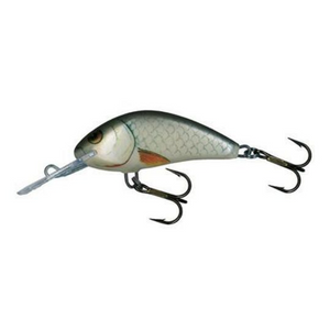 Salmo Hornet Floating 4 1-5/8 – Wind Rose North Ltd. Outfitters