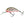 Salmo Hornet Floating 4-Salmo Hornet-Wind Rose North Ltd. Outfitters