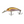 Salmo Hornet Floating 4-Salmo Hornet-Wind Rose North Ltd. Outfitters