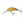 Salmo Hornet Floating 4-Salmo Hornet-Wind Rose North Ltd. Outfitters
