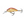 Salmo Hornet Floating 4-Salmo Hornet-Wind Rose North Ltd. Outfitters
