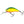Salmo Hornet Floating 4-Salmo Hornet-Wind Rose North Ltd. Outfitters