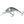 Salmo Hornet Floating 4-Salmo Hornet-Wind Rose North Ltd. Outfitters