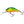 Salmo Hornet Floating 4-Salmo Hornet-Wind Rose North Ltd. Outfitters