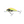Salmo Hornet Floating 4-Salmo Hornet-Wind Rose North Ltd. Outfitters