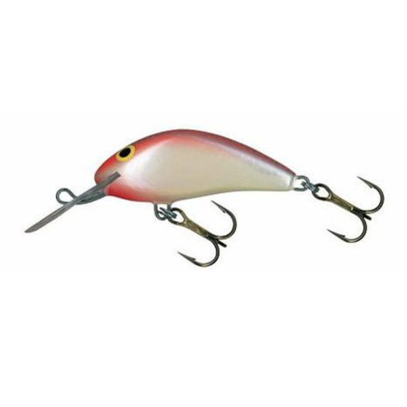 Salmo Hornet Floating 4-Salmo Hornet-Wind Rose North Ltd. Outfitters