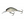 Salmo Hornet Floating 4-Salmo Hornet-Wind Rose North Ltd. Outfitters
