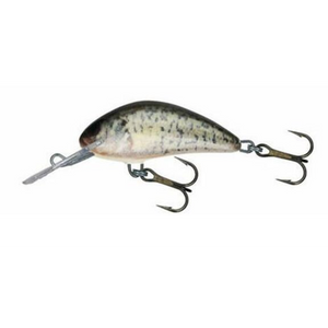 Salmo Hornet Floating 4-Salmo Hornet-Wind Rose North Ltd. Outfitters
