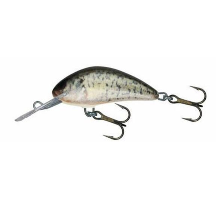 Salmo Hornet Floating 4-Salmo Hornet-Wind Rose North Ltd. Outfitters