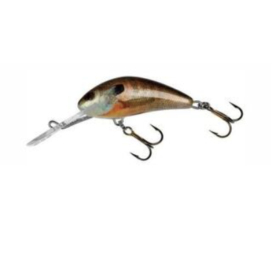 Salmo Hornet Floating 4-Salmo Hornet-Wind Rose North Ltd. Outfitters