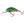 Salmo Hornet Floating 4-Salmo Hornet-Wind Rose North Ltd. Outfitters