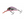 Salmo Hornet Floating 4-Salmo Hornet-Wind Rose North Ltd. Outfitters