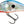 Salmo Hornet Floating 4-Salmo Hornet-Wind Rose North Ltd. Outfitters