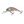Salmo Hornet Floating 4-Salmo Hornet-Wind Rose North Ltd. Outfitters