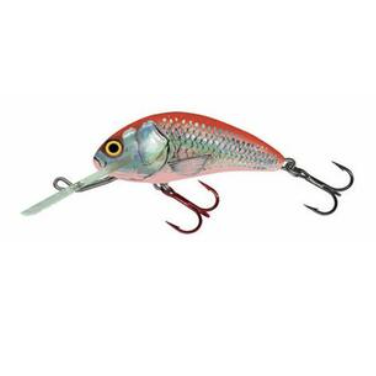 Salmo Hornet Floating 4-Salmo Hornet-Wind Rose North Ltd. Outfitters