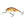 Salmo Hornet Floating 4-Salmo Hornet-Wind Rose North Ltd. Outfitters