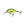 Salmo Hornet Floating 4-Salmo Hornet-Wind Rose North Ltd. Outfitters