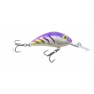 Salmo Rattlin' Hornet Floating 4.5 – Wind Rose North Ltd. Outfitters