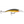Rapala Scatter Rap Tail Dancer SCRTD-9