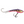 Moonshine Lures Holographic Shiver Minnow #1