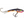 Moonshine Lures Holographic Shiver Minnow #3
