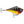 Rapala Rippin' Rap RPR-5