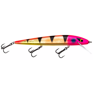 Smithwick Perfect 10 Rogue-Smithwick-Wind Rose North Ltd. Outfitters