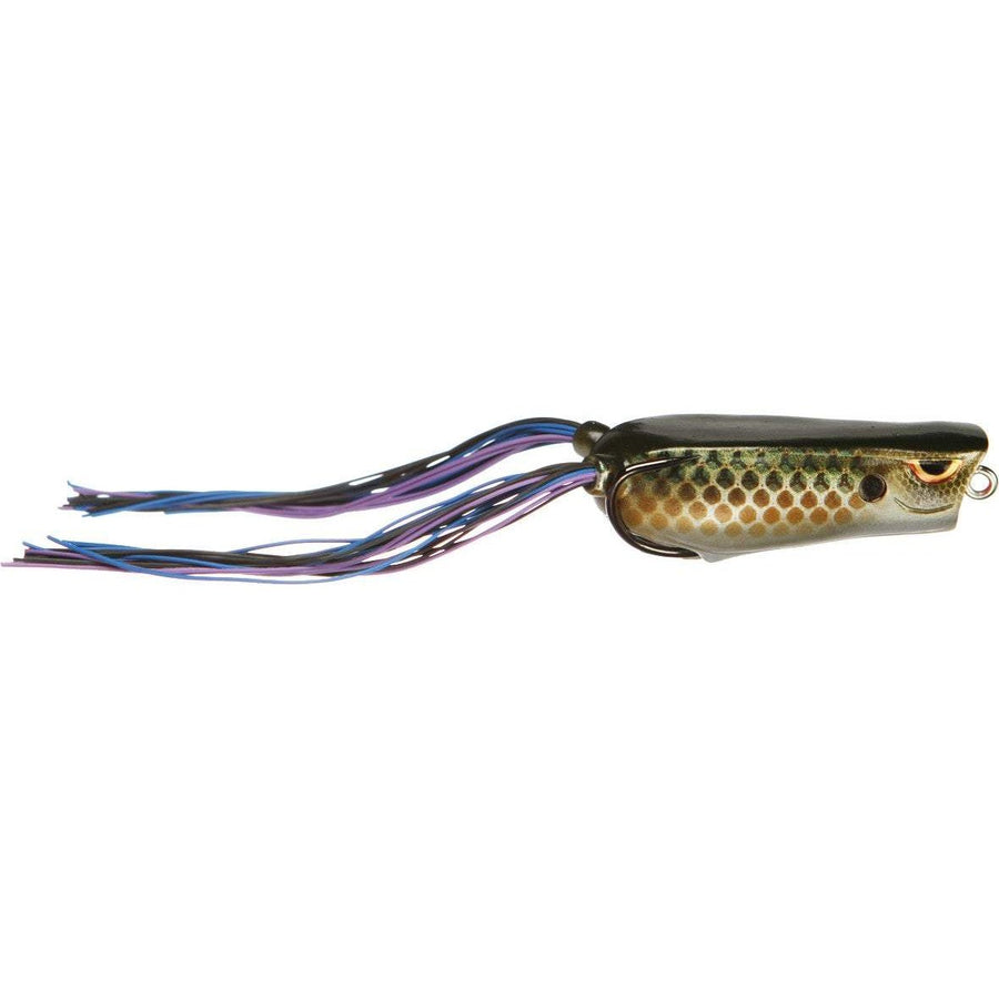 Spro Bronzeye Poppin' Frog-Spro-Wind Rose North Ltd. Outfitters