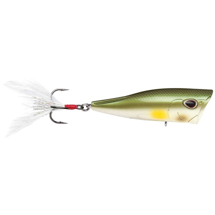 Storm Arashi Cover Pop-Storm-Wind Rose North Ltd. Outfitters