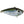 Strike King Red Eyed Shad-Strike King-Wind Rose North Ltd. Outfitters