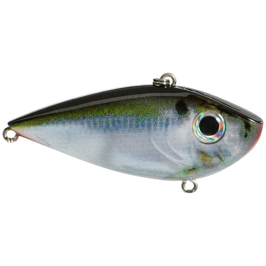 Strike King Red Eyed Shad-Strike King-Wind Rose North Ltd. Outfitters