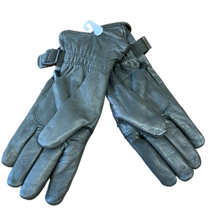 Thinsulate Men's Isolant Ice Gloves
