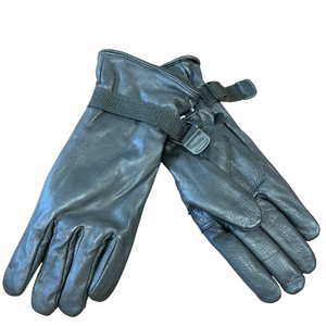 Thinsulate Men's Isolant Ice Gloves