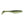 Walleye Assassin Turbo Shad 4"-Assassin-Wind Rose North Ltd. Outfitters