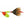 Mepps Aglia #5 Plain (B5)