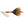 Mepps Aglia #5 Plain (B5)